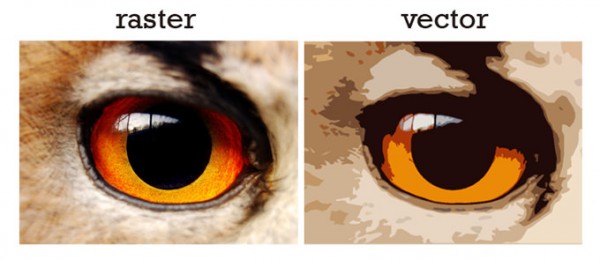 raster vector comparison
